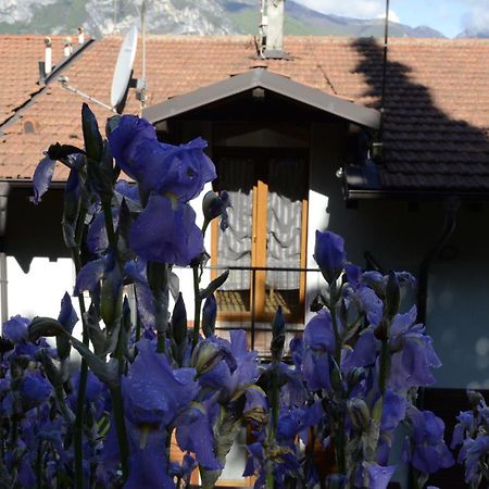 Appartamento Al Forte Torbole Sul Garda Luaran gambar